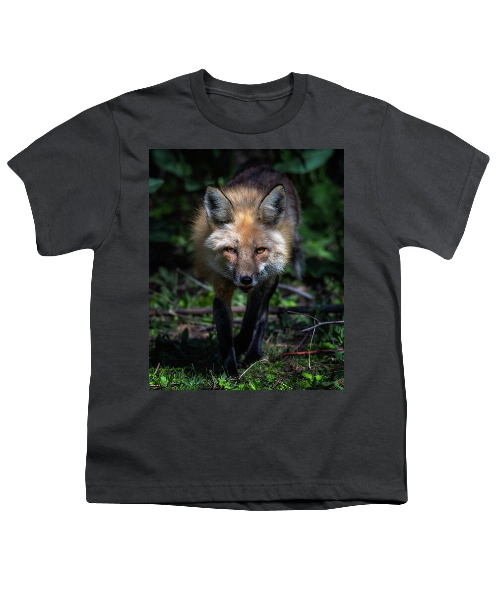 Animal Youth T-Shirt featuring the photograph Foxy Stare by Michael Ash