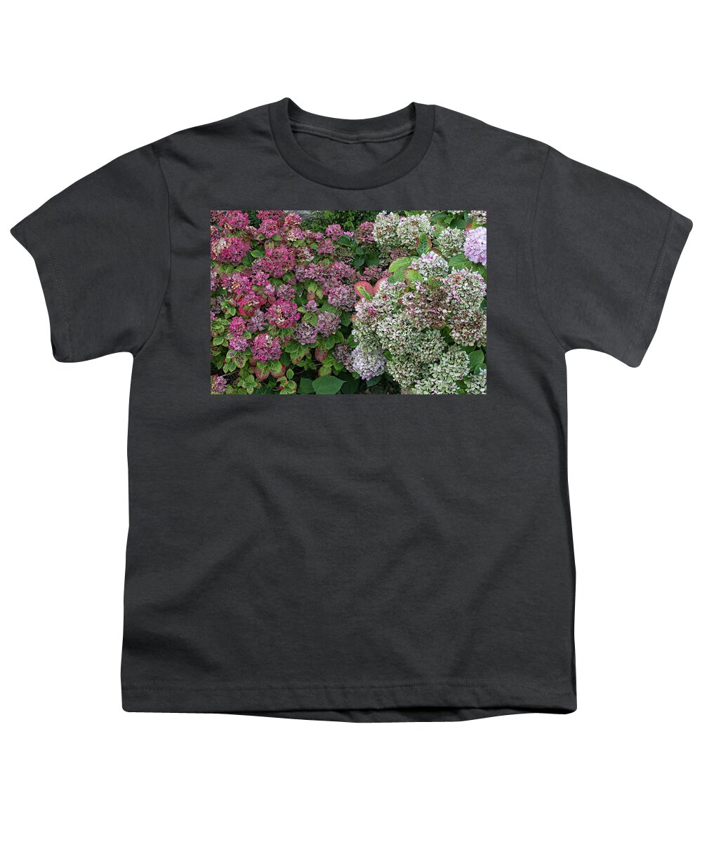 Flowers Youth T-Shirt featuring the photograph French Hydrangeas by Lisa Chorny