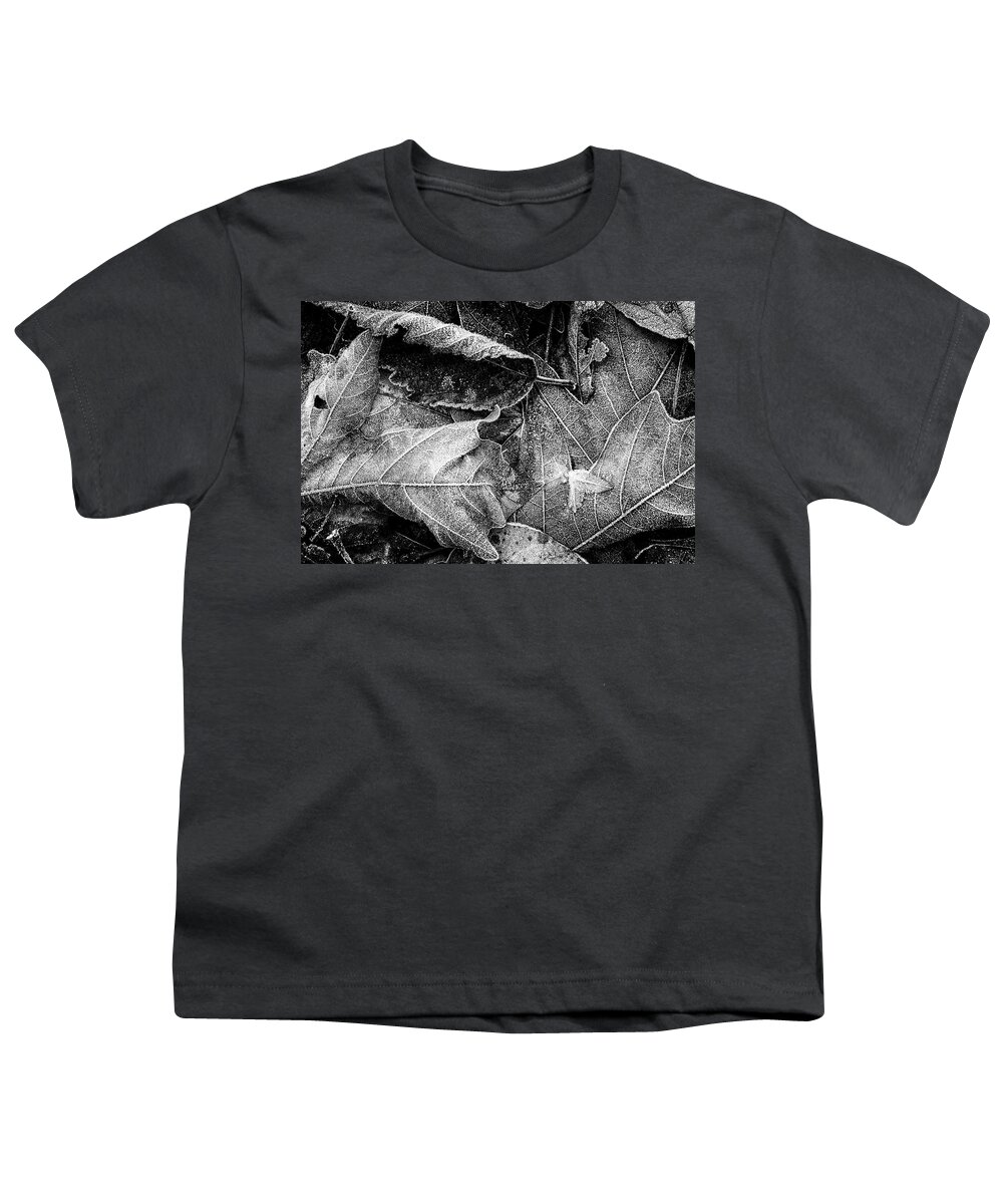 Frost Youth T-Shirt featuring the photograph Frost on Fallen Leaves bw by Belinda Greb