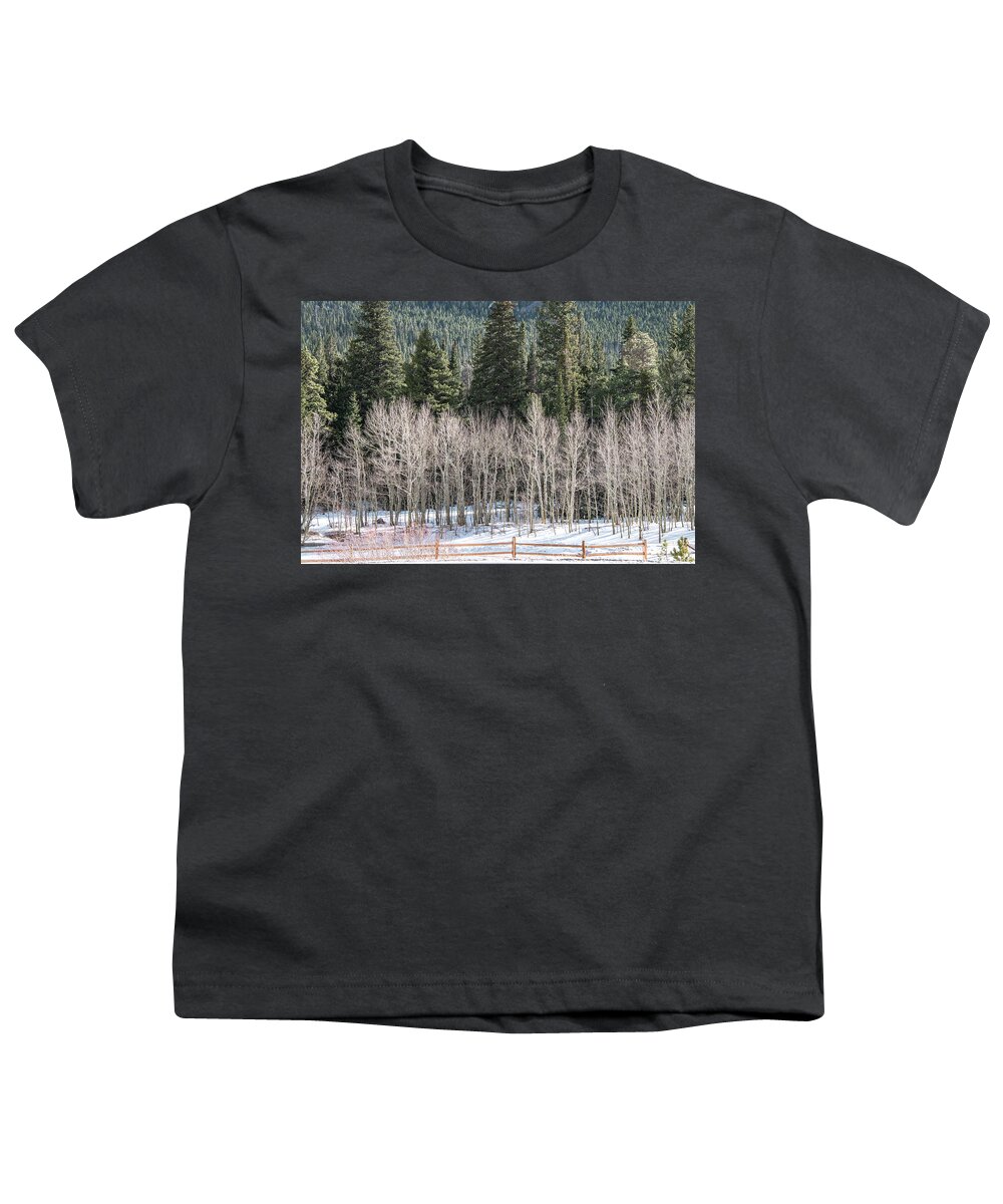 Colorado Youth T-Shirt featuring the photograph Frosty Aspens At Lily Lake, Colorado by Marcy Wielfaert
