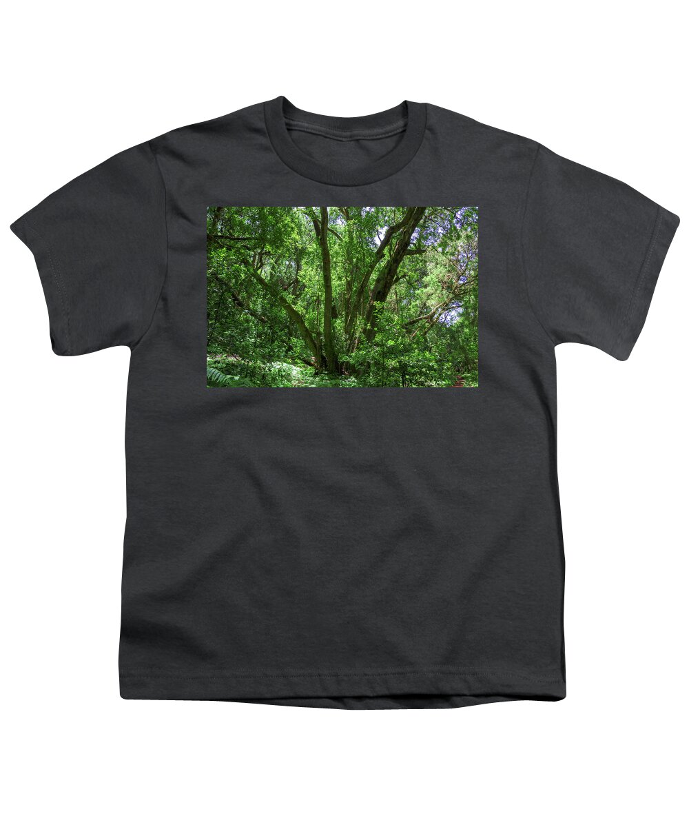 Forest Youth T-Shirt featuring the photograph Garajonay National Park by Sun Travels