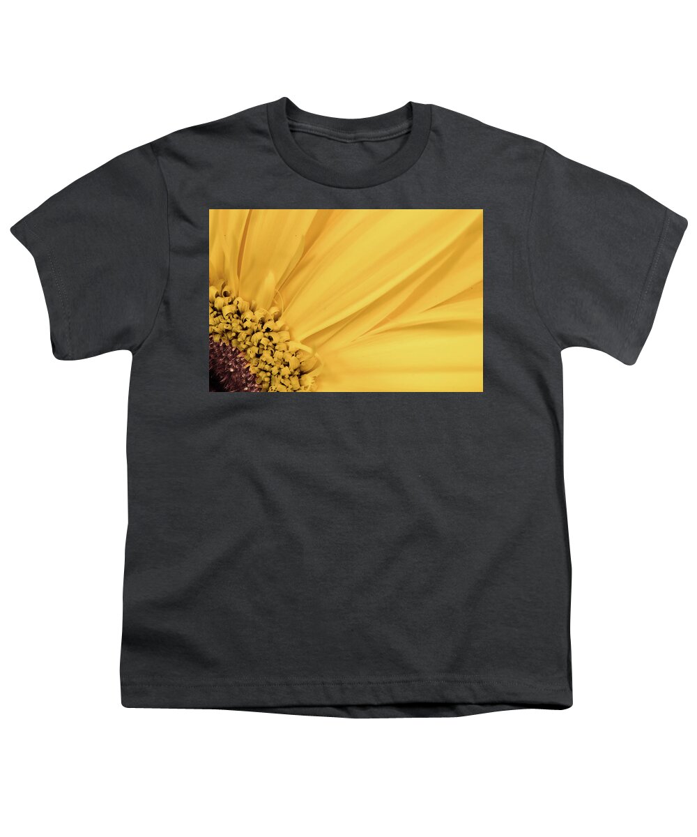 Macro With Oshiro 60 F2.8 Youth T-Shirt featuring the photograph Gerbera by Nick Mares