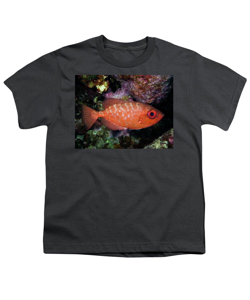 Snapper Youth T-Shirt featuring the photograph Glasseye Snapper by Brian Weber