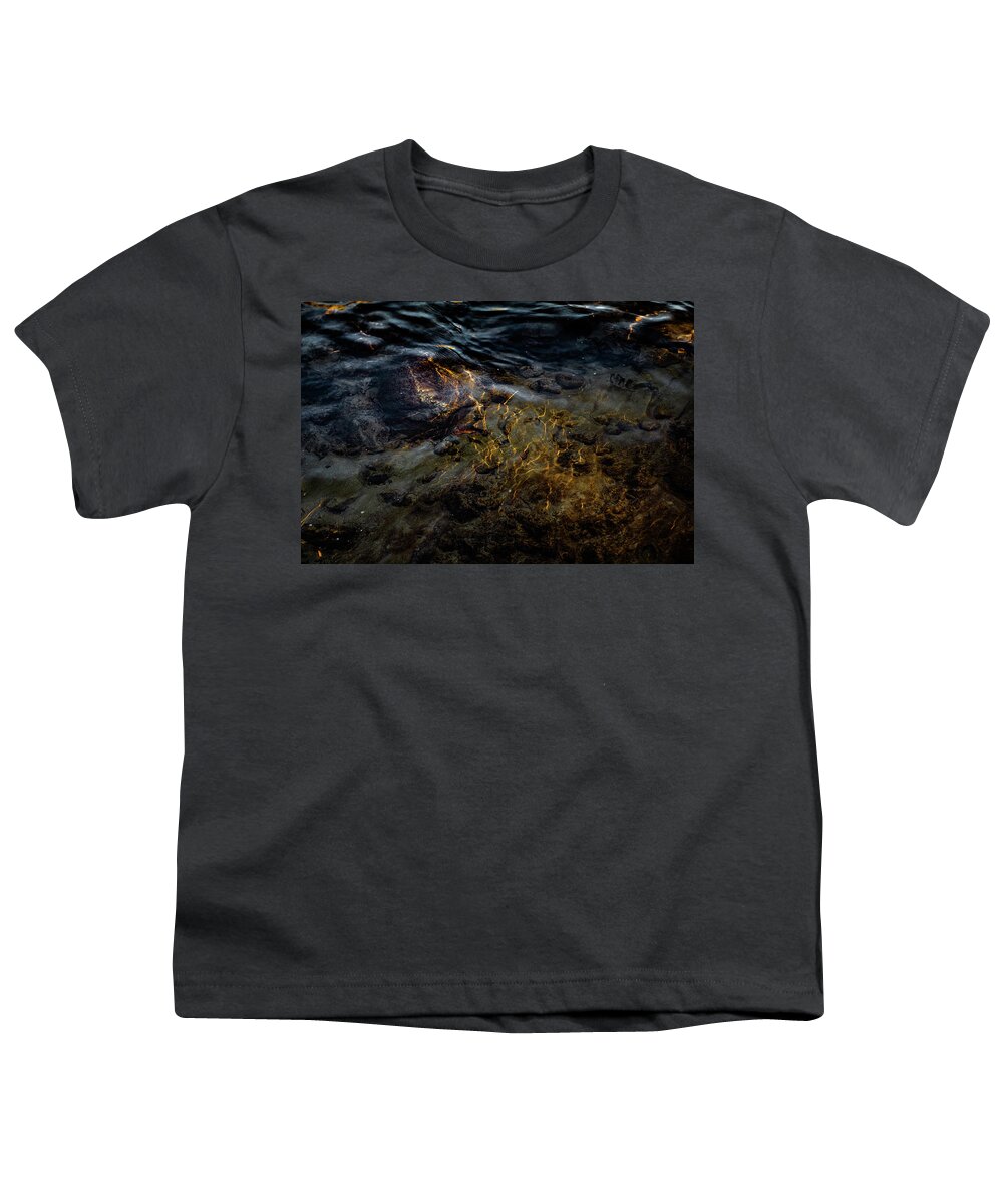 Aqua Youth T-Shirt featuring the photograph Gold Veins Abstract River by Dennis Dame