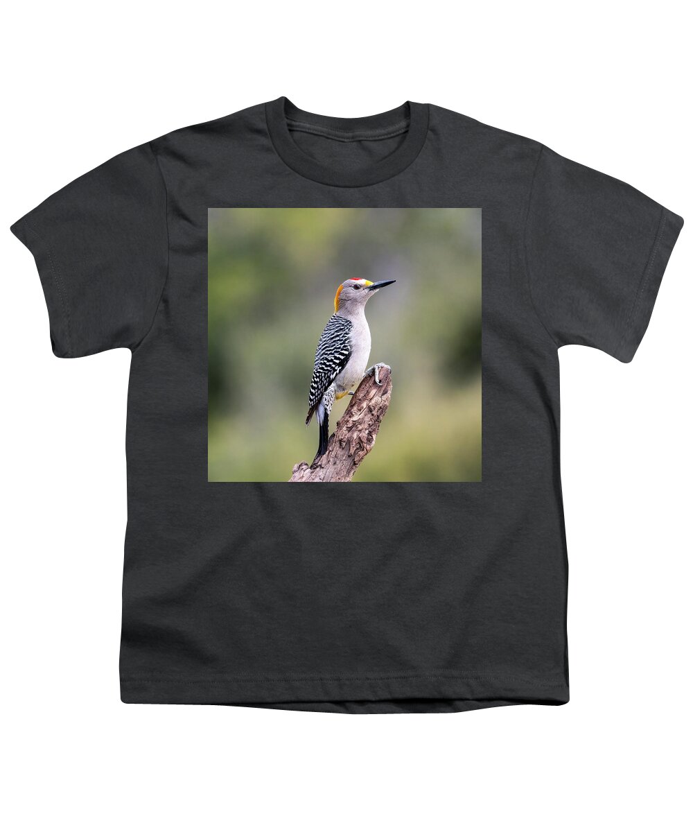 Golden-fronted Woodpecker Youth T-Shirt featuring the photograph Golden-Fronted Woodpecker by Cheri Freeman