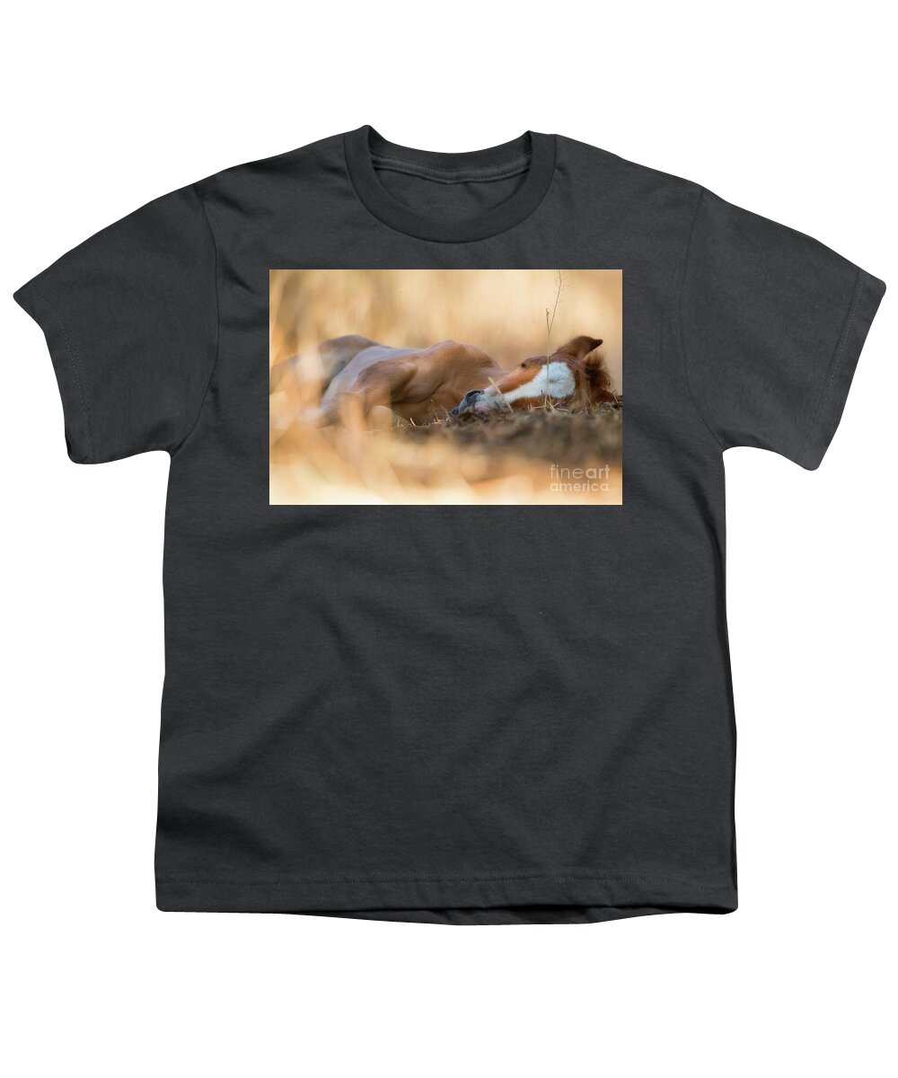 Cute Foal Youth T-Shirt featuring the photograph Golden Nap by Shannon Hastings