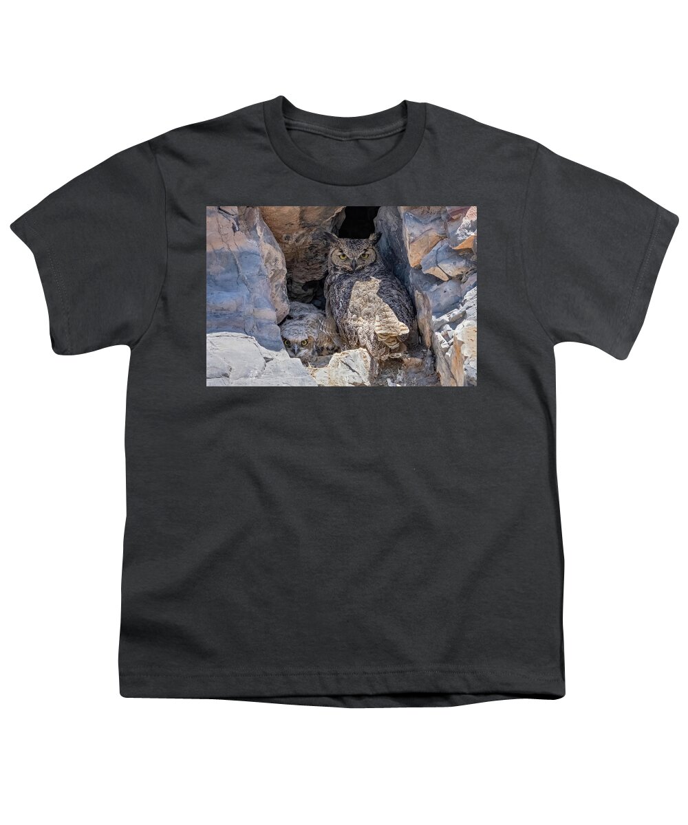 Owl Youth T-Shirt featuring the photograph Great Horned Owl Nest by Wesley Aston