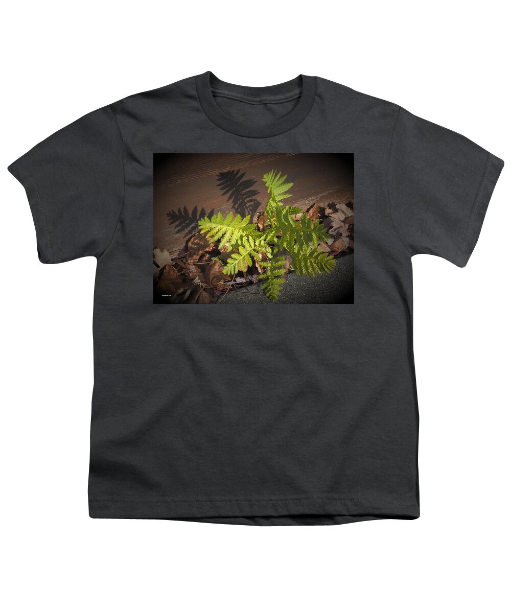 Wood Youth T-Shirt featuring the photograph Green Fern by Richard Thomas
