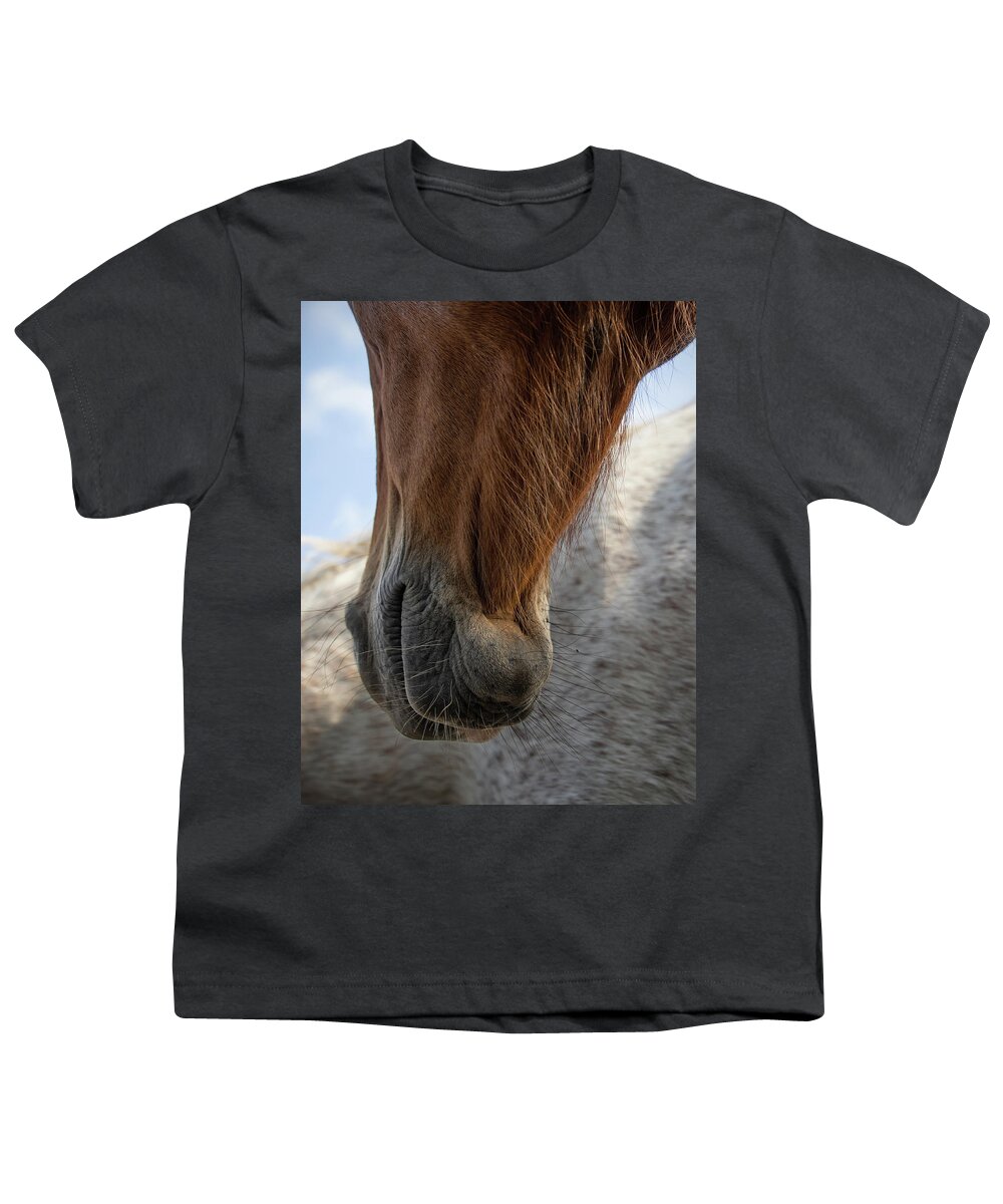 Horses Youth T-Shirt featuring the photograph Hanging Out by M Kathleen Warren
