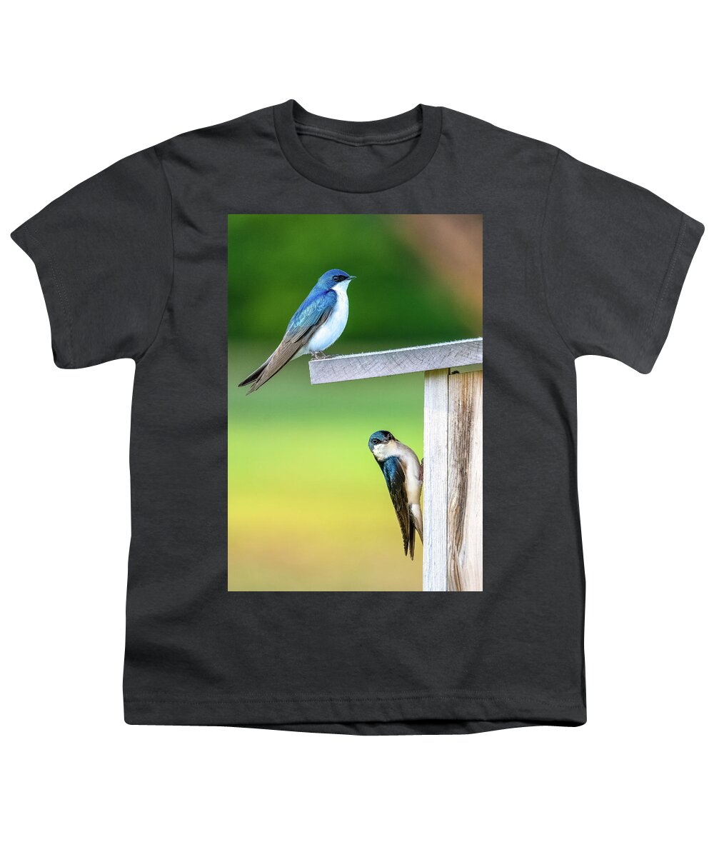 Swallow Youth T-Shirt featuring the photograph Happy Couple by Brad Bellisle