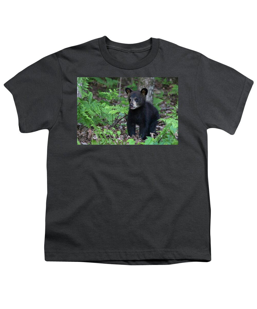 Black Bear Youth T-Shirt featuring the photograph Happy Cub by Brook Burling
