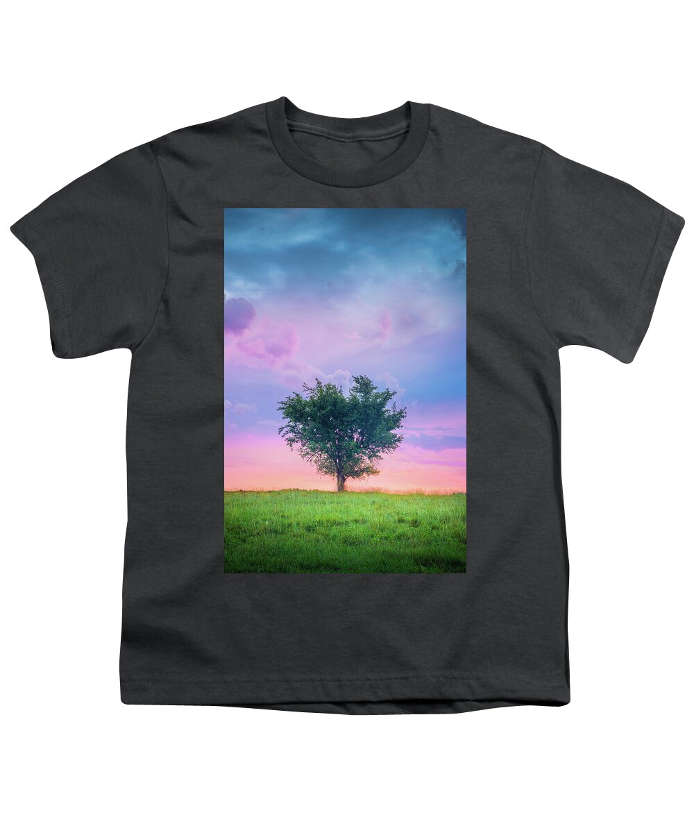 Heart Tree Youth T-Shirt featuring the photograph Heart-Shaped Tree Tupelo MIssissippi by Jordan Hill