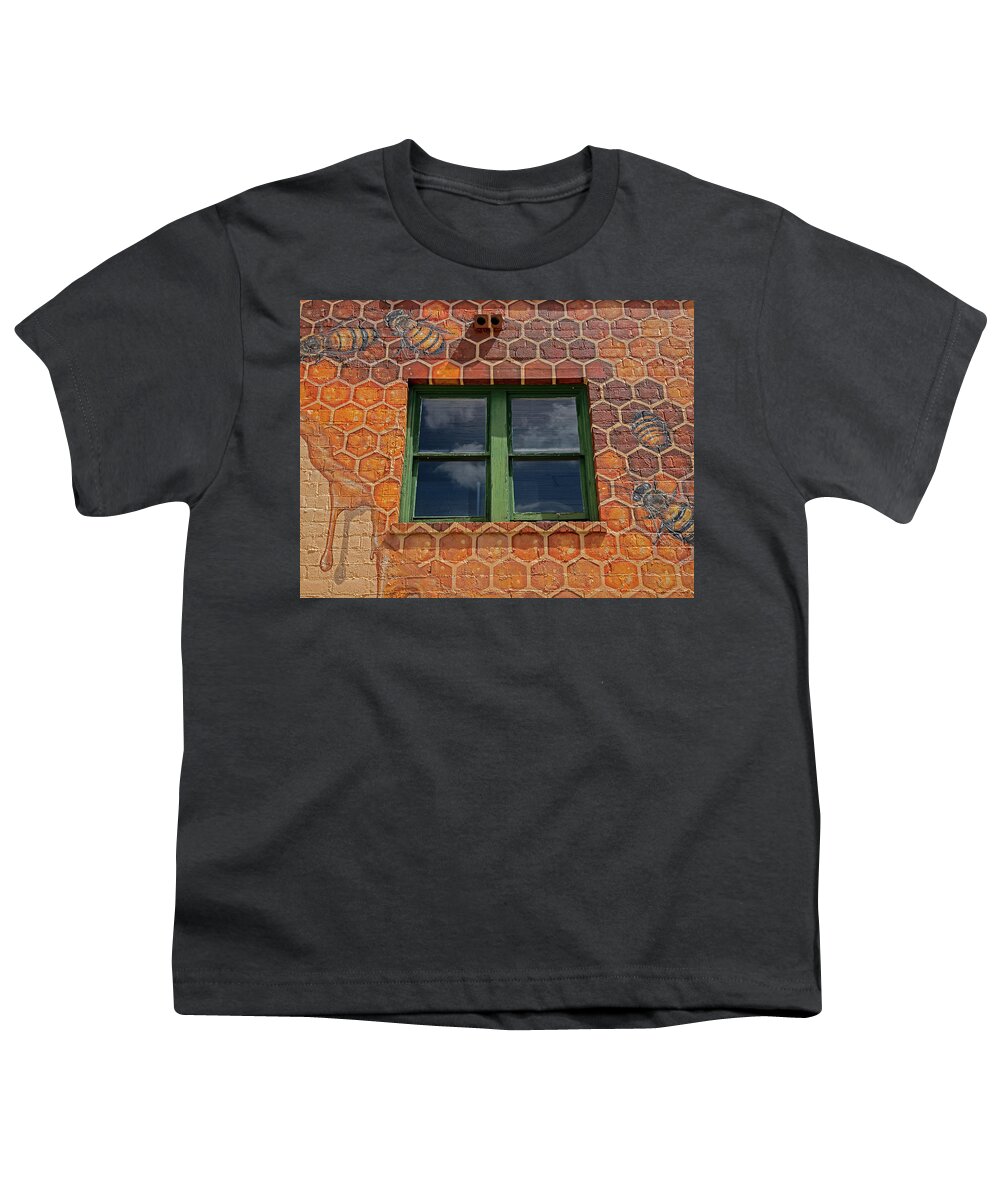 Bees Youth T-Shirt featuring the photograph Honey Window by Dart Humeston