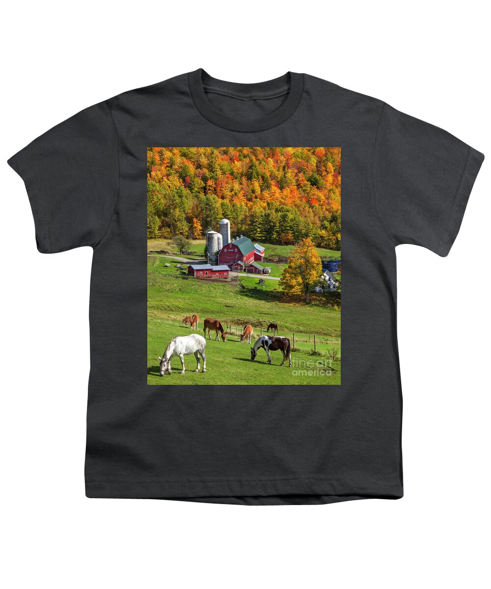 Autumn Youth T-Shirt featuring the photograph Horses Grazing in Autumn by Brian Jannsen