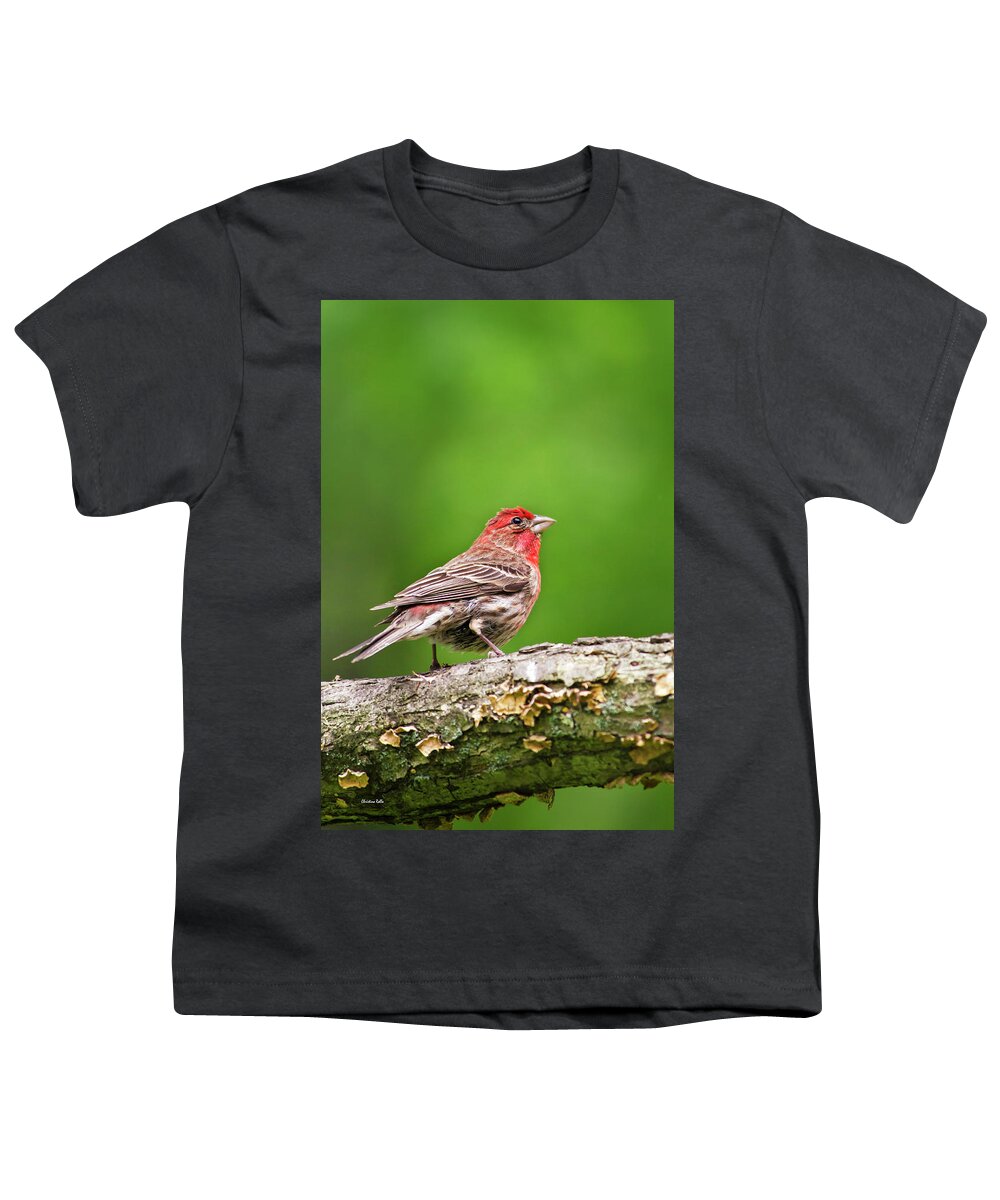 Bird Youth T-Shirt featuring the photograph House Finch Perched by Christina Rollo