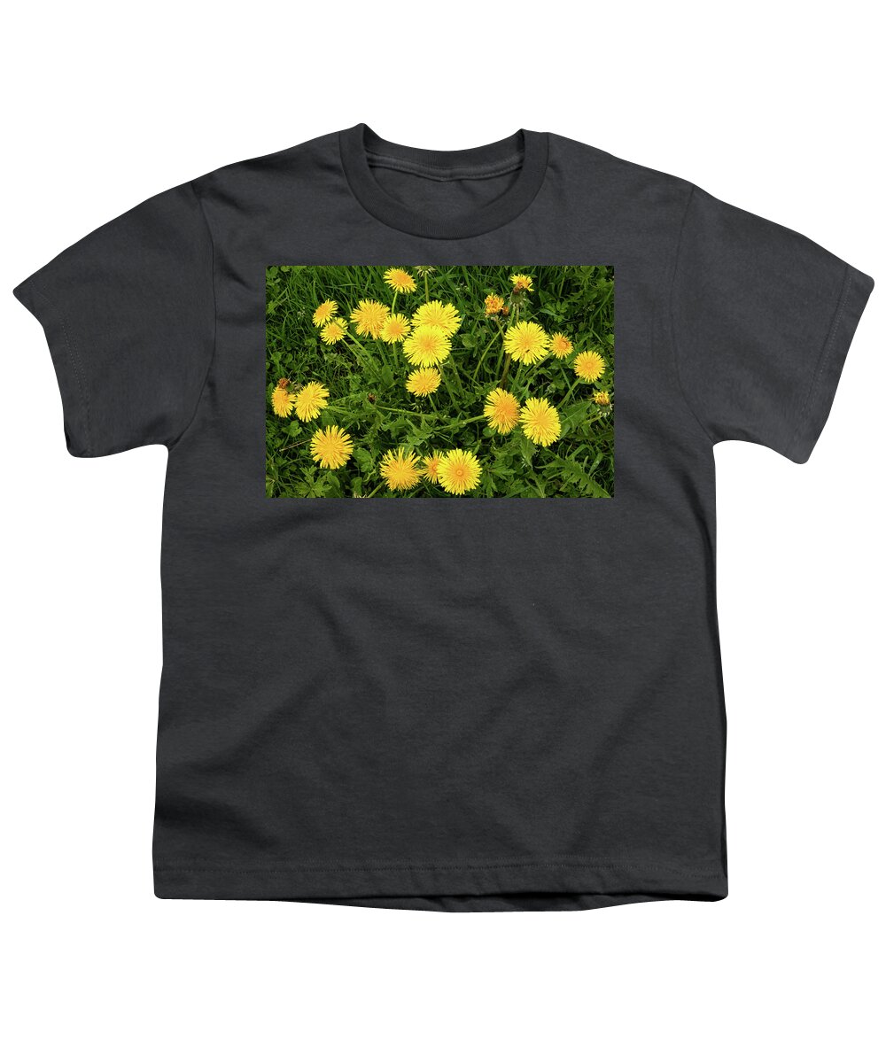 Dandelion Youth T-Shirt featuring the photograph Huge Dandelion Plant by Elvira Peretsman
