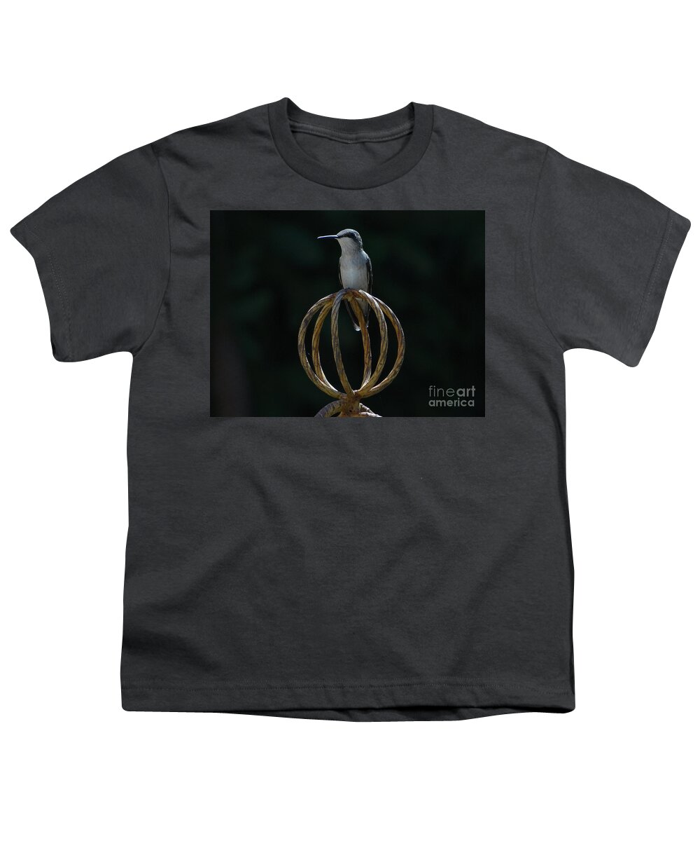 5 Star Youth T-Shirt featuring the photograph Hummers on Deck- 2-05 by Christopher Plummer