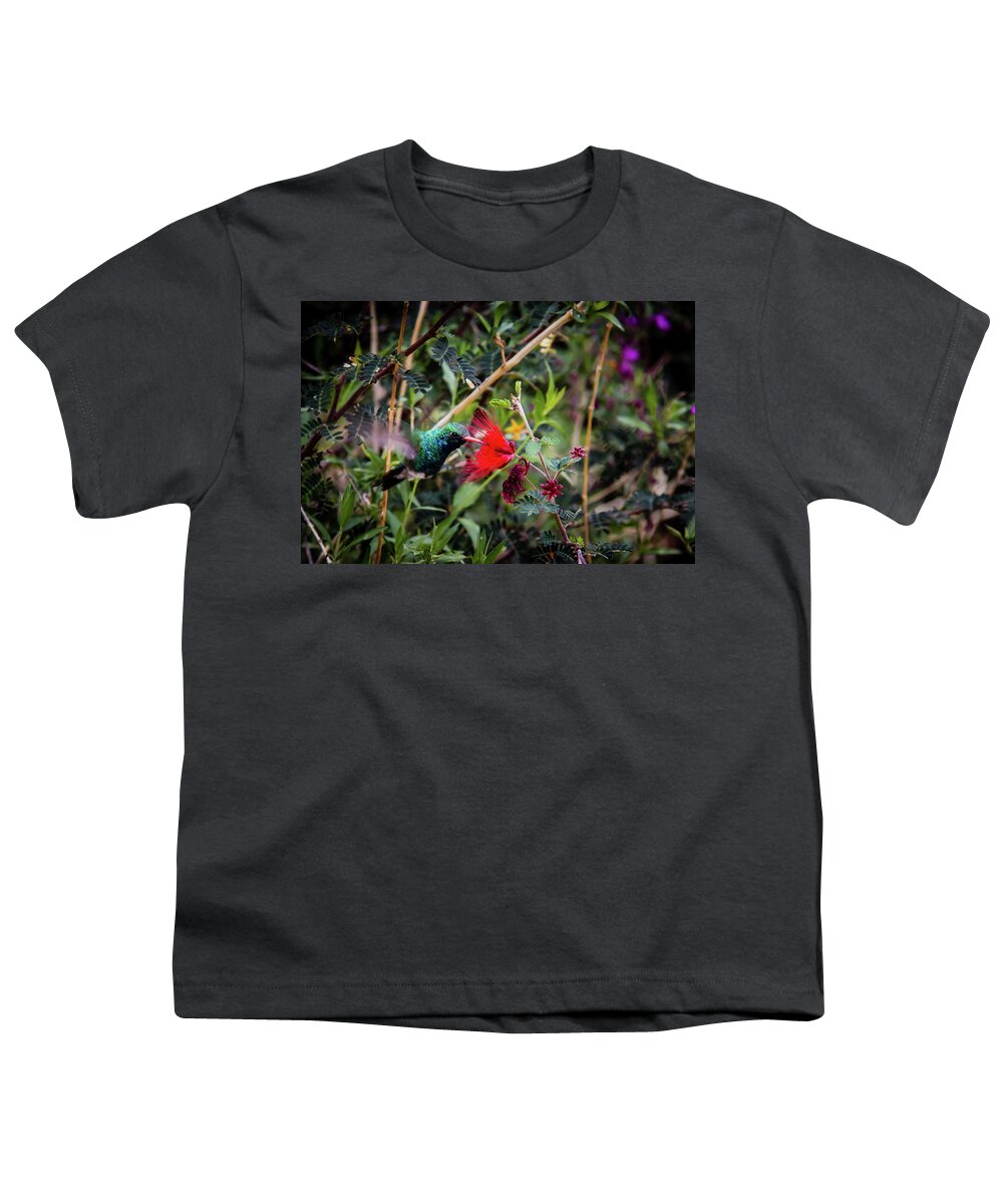 Canyon Youth T-Shirt featuring the photograph Hummingbird approaching a flower by Craig A Walker