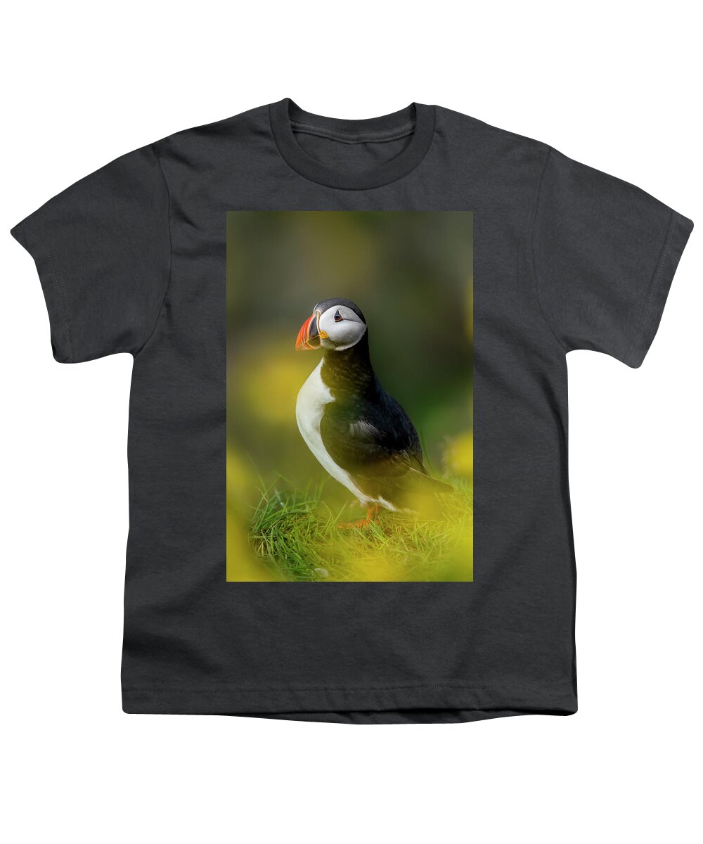 Puffin Youth T-Shirt featuring the photograph Iceland - Atlantic puffin by Olivier Parent
