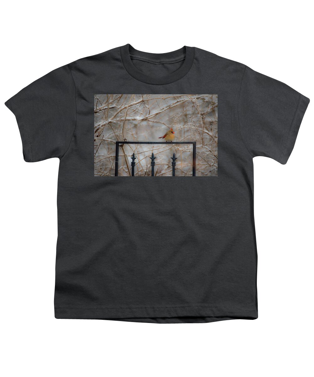 Cardinal Youth T-Shirt featuring the photograph I'm Here Where Are You by Diane Lindon Coy