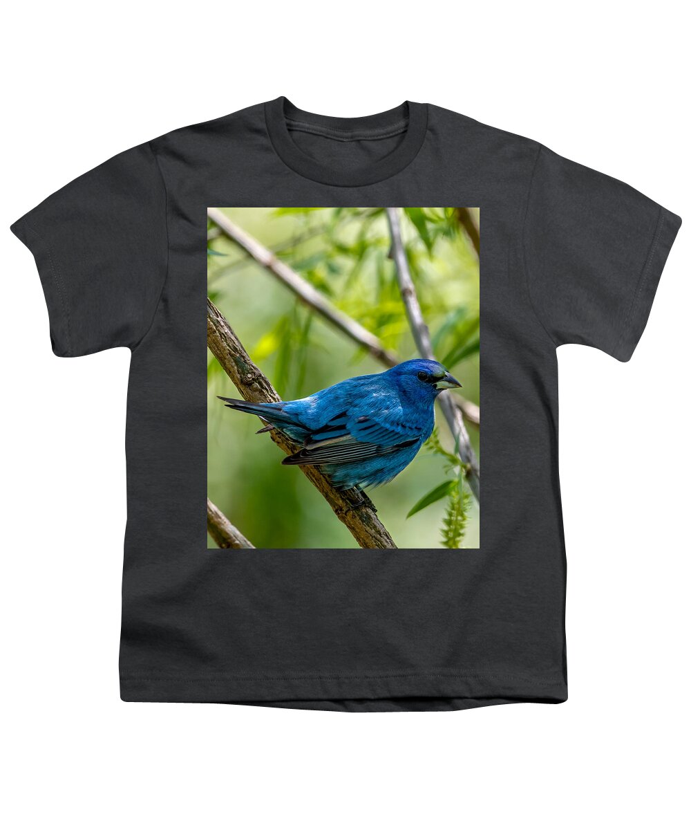 Indigo Bunting Youth T-Shirt featuring the photograph Im Watching You by Rick Nelson