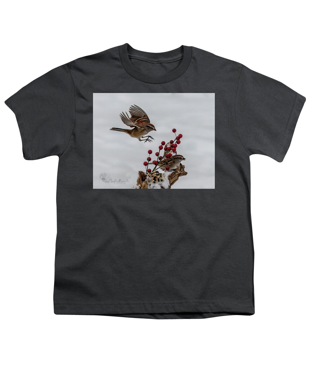 Sparrow Youth T-Shirt featuring the photograph In for a Landing by Regina Muscarella