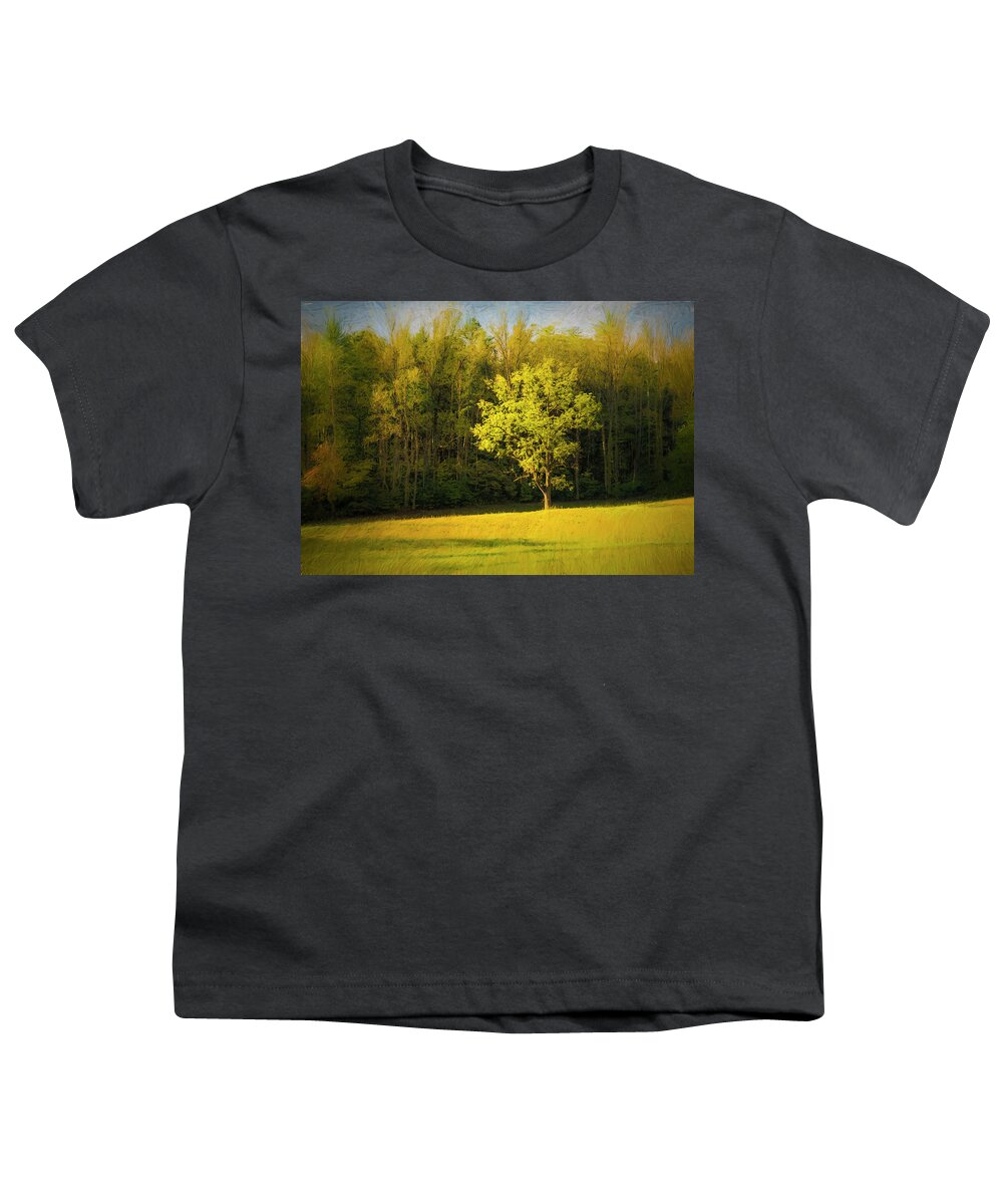 Impressionism Youth T-Shirt featuring the photograph In The Limelight by Ginger Stein