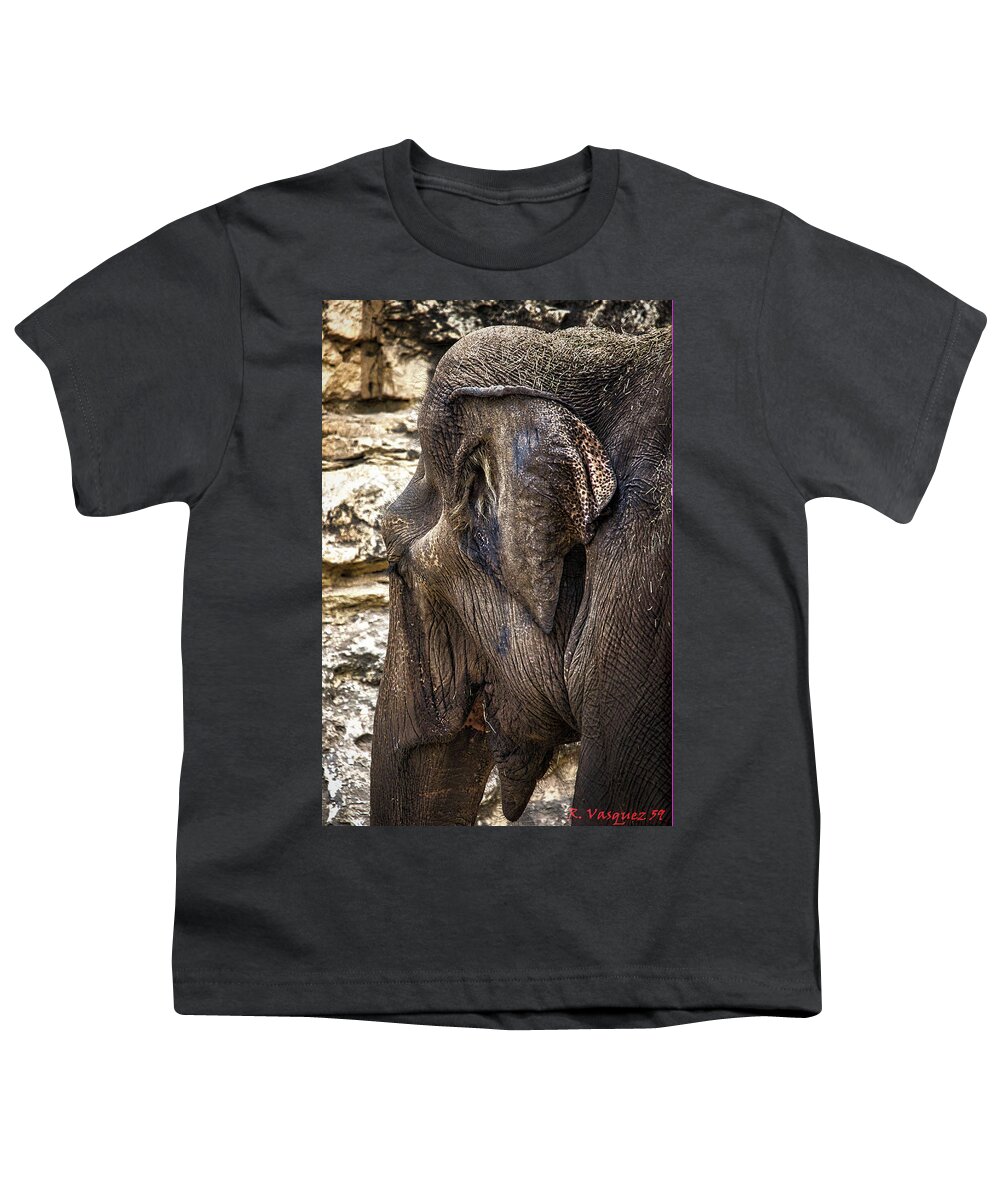 Elephant Youth T-Shirt featuring the photograph Indian Elephant by Rene Vasquez