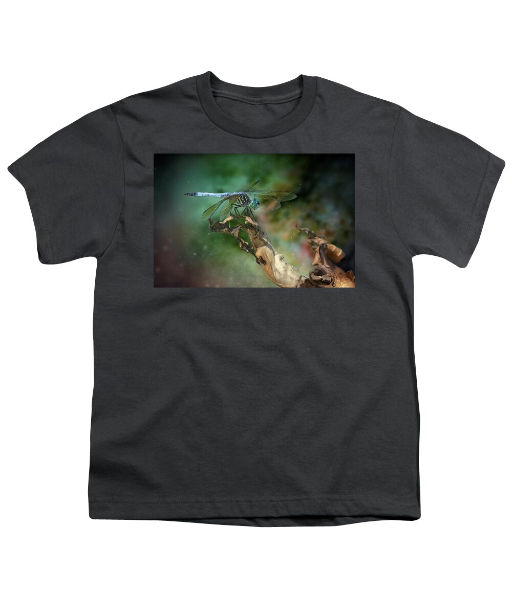 Dragon Fly Youth T-Shirt featuring the photograph Innerspace by Ray Congrove