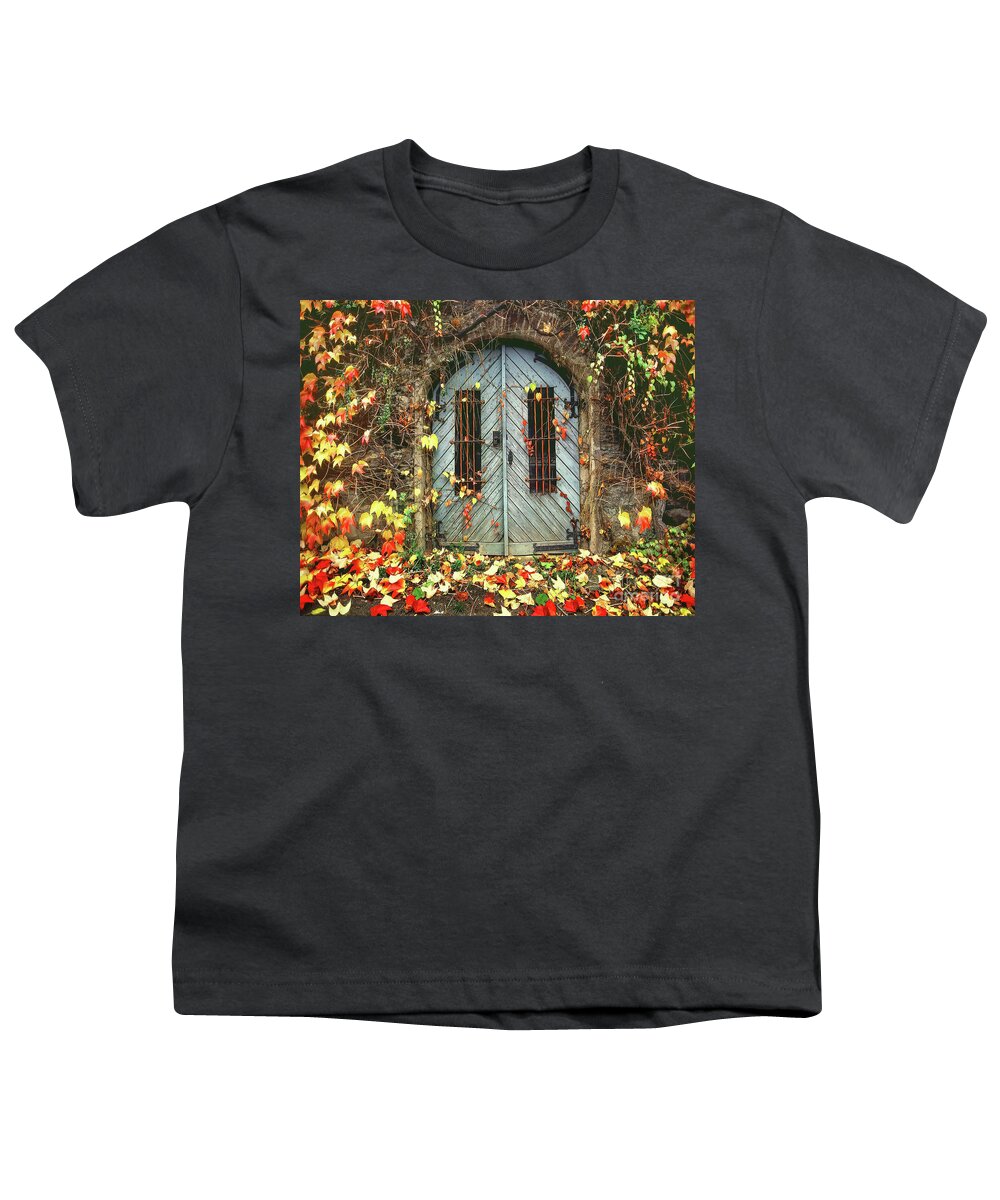 Doors Youth T-Shirt featuring the photograph International Colors by Don Schimmel