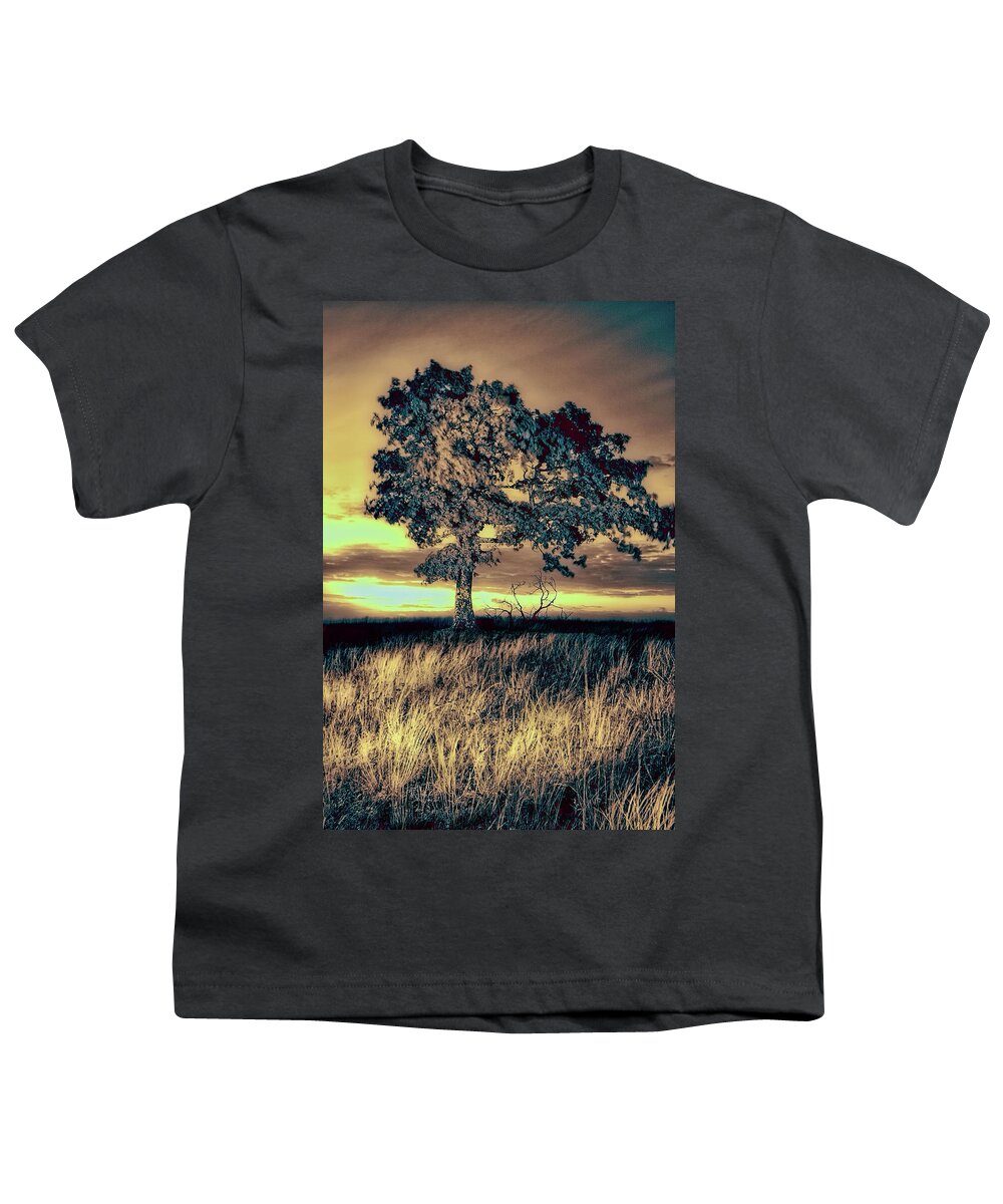 North Carolina Youth T-Shirt featuring the photograph Isolated at Sunrise fx by Dan Carmichael
