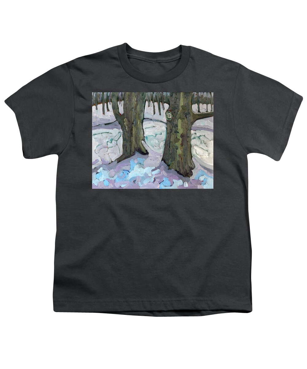 2453 Youth T-Shirt featuring the painting January Sugar Maple Siblings by Phil Chadwick