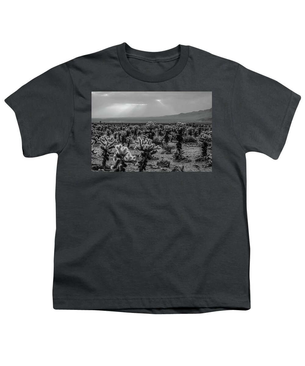 Joshua Youth T-Shirt featuring the photograph Joshua Tree Cholla Cactus Garden Joshua Tree CA Sunrays Black and White by Toby McGuire