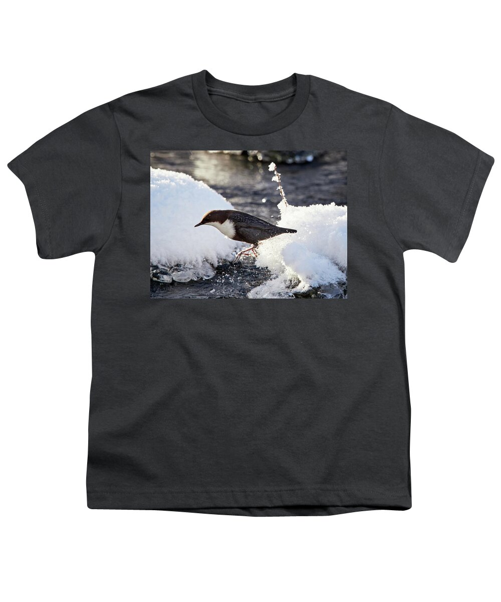 Cinclus Cinclus Youth T-Shirt featuring the photograph Jump. White-throated dipper by Jouko Lehto