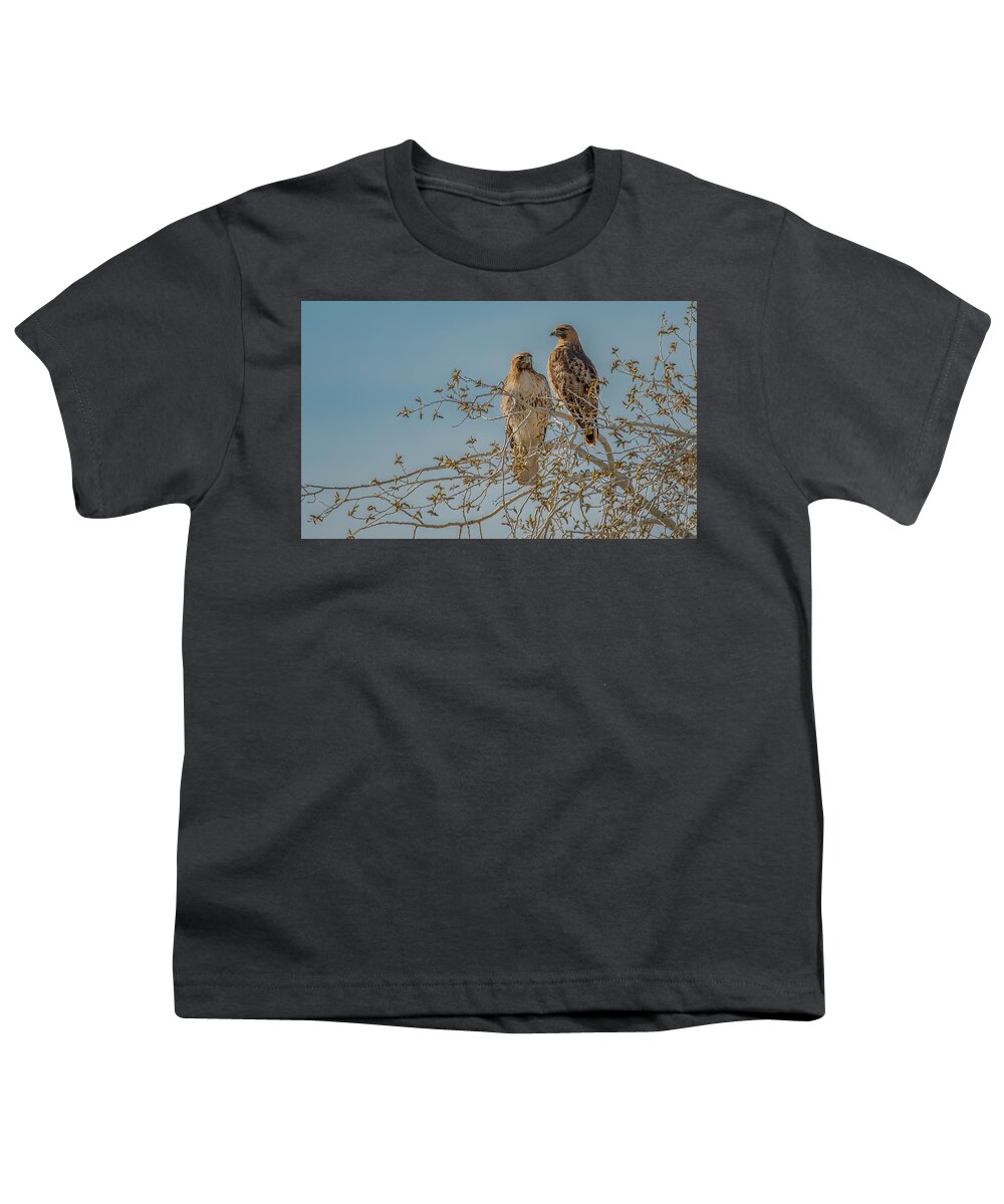 Red-tailed Hawks Youth T-Shirt featuring the photograph Just Enjoying the Morning by Marcy Wielfaert