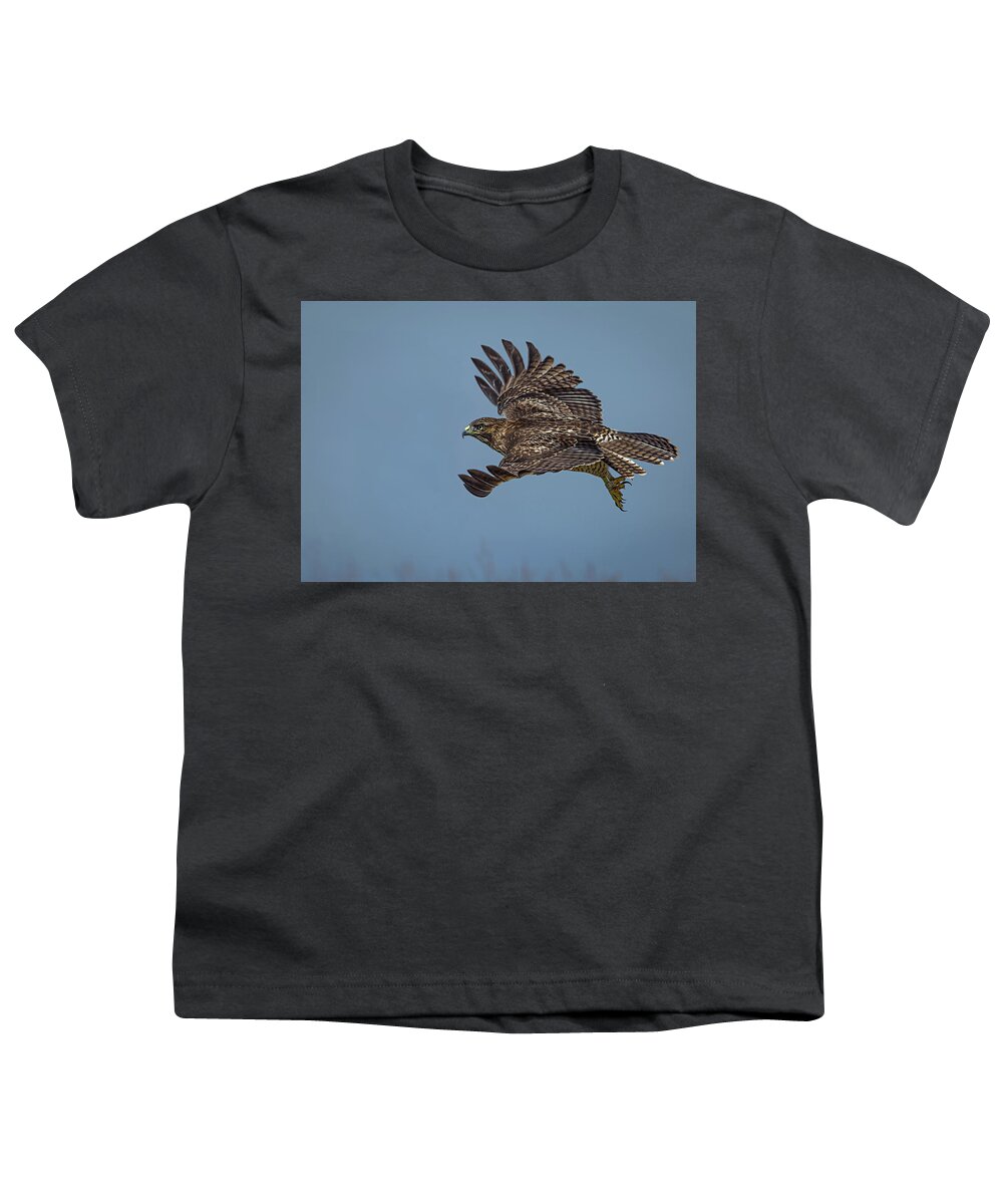 Red Tailed Hawk Youth T-Shirt featuring the photograph Juvenile Red-tailed Hawk by Linda Villers
