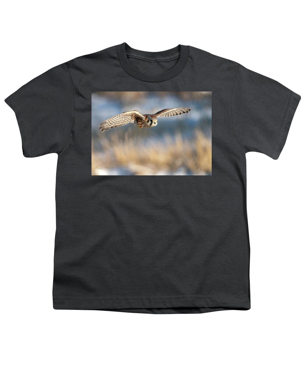 Kestrel Youth T-Shirt featuring the photograph Kestrel on the Wing by Judi Dressler