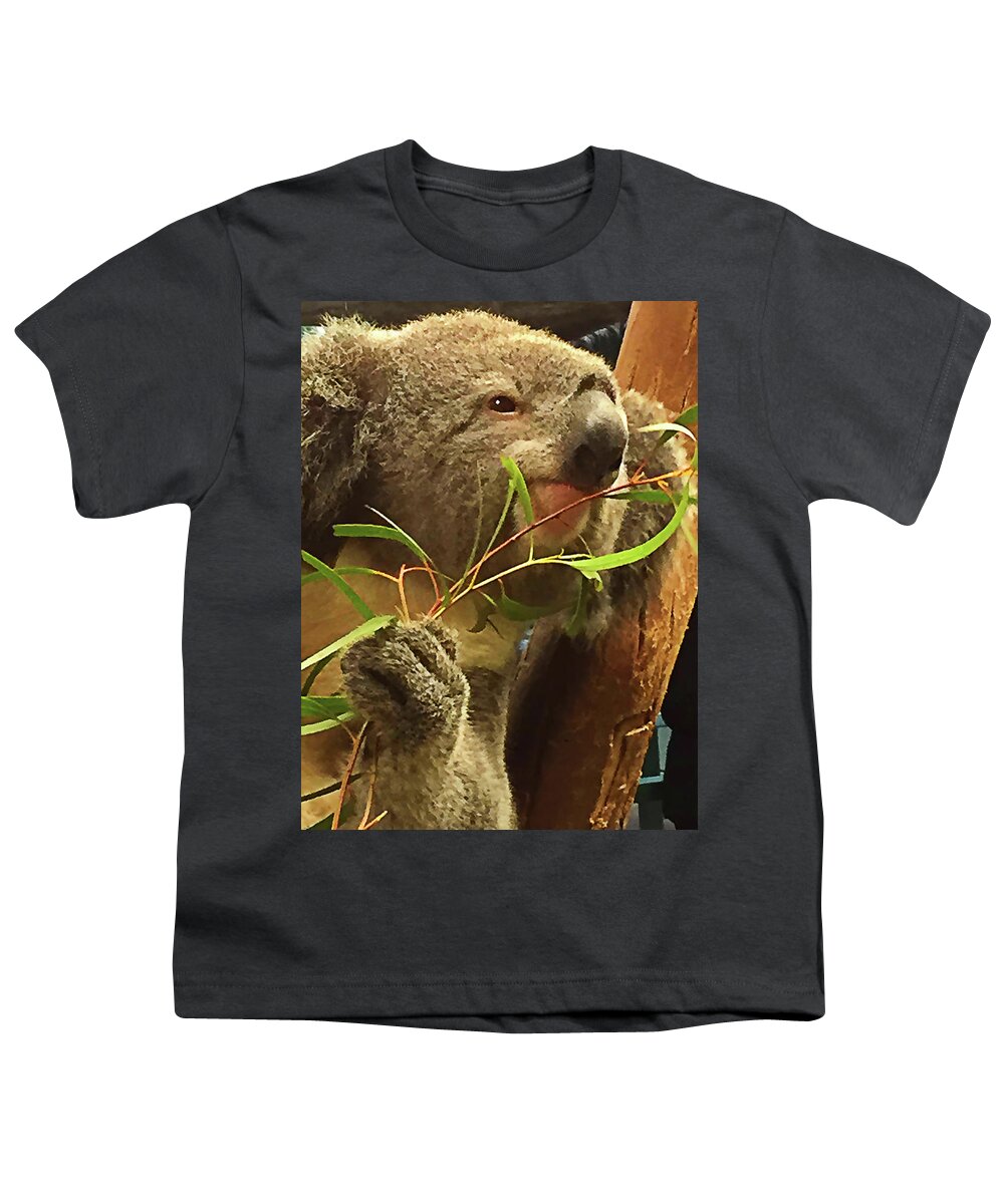 Koala Youth T-Shirt featuring the photograph Koala by Bill Barber