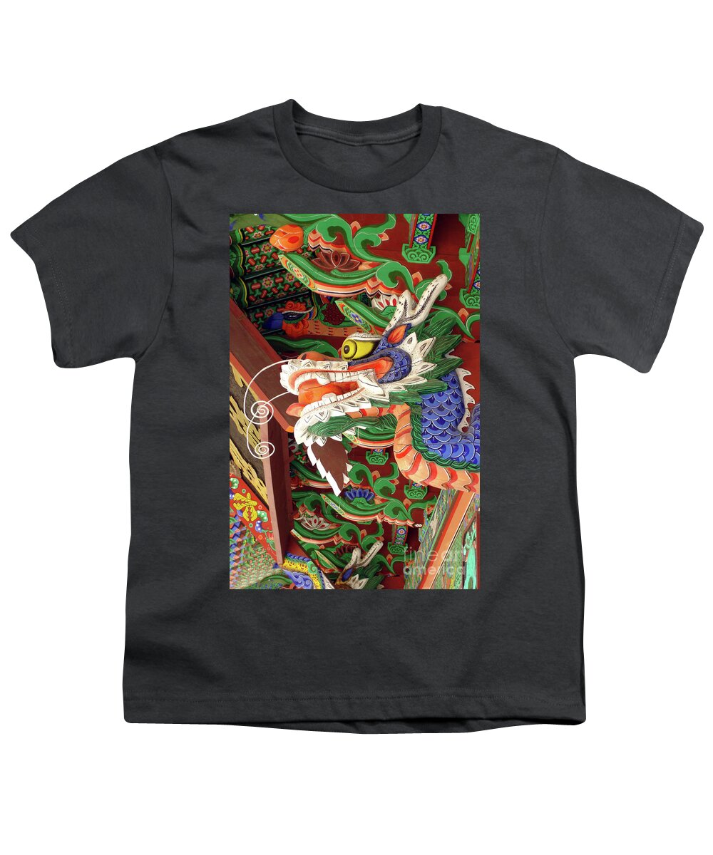 Dragon Youth T-Shirt featuring the photograph Korean dragon by Delphimages Photo Creations