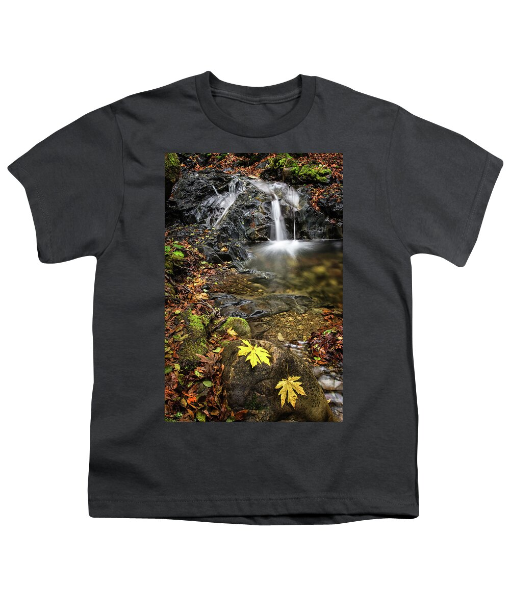 Waterfall Youth T-Shirt featuring the photograph Last Bit of Fall by Linda Villers