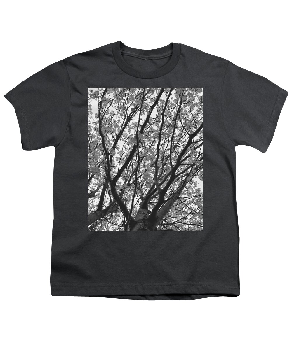 Tree Youth T-Shirt featuring the photograph Last Day of Winter by Lee Darnell