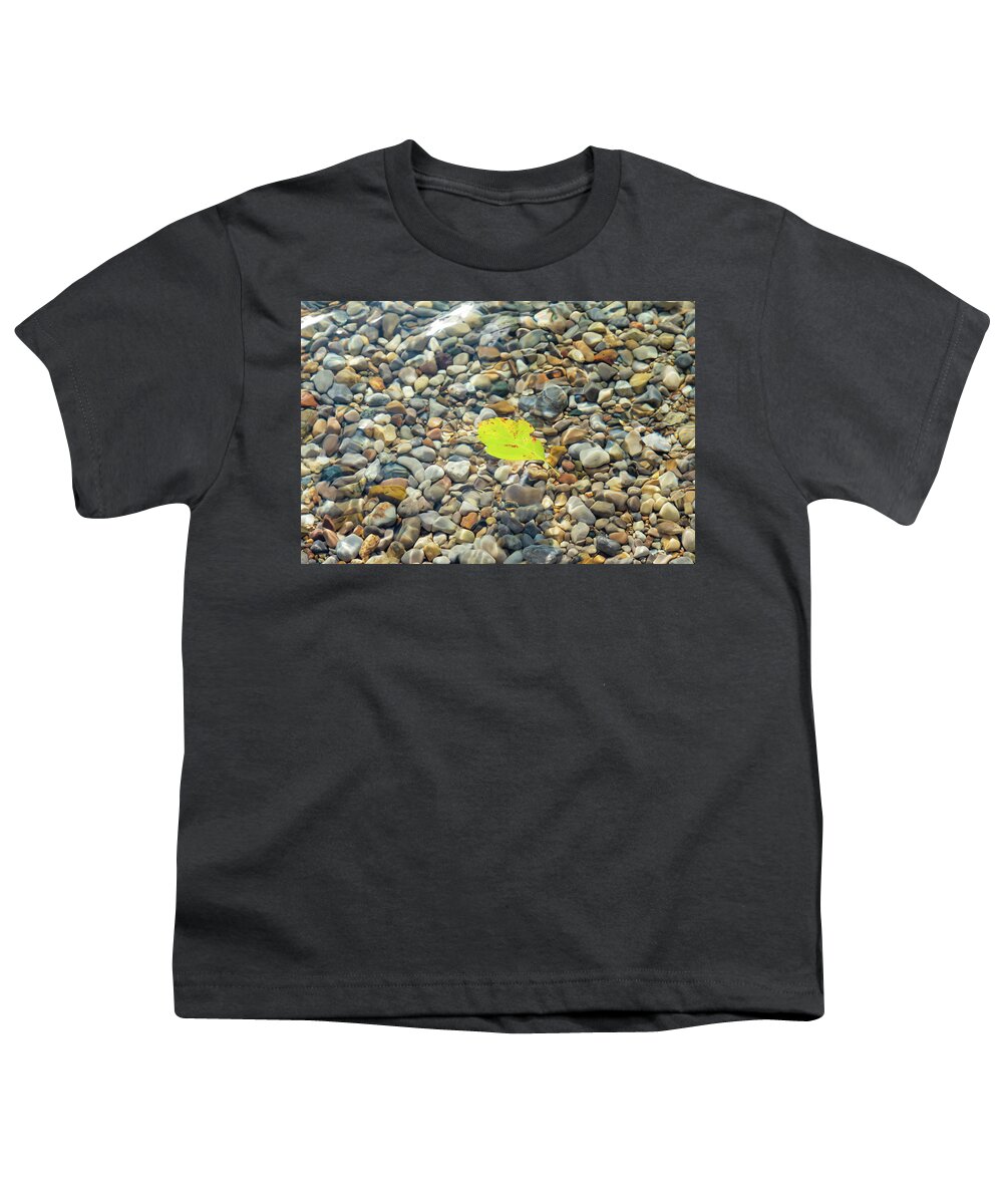 Torch Lake Youth T-Shirt featuring the photograph Leaf at Torch Lake by Joe Kopp