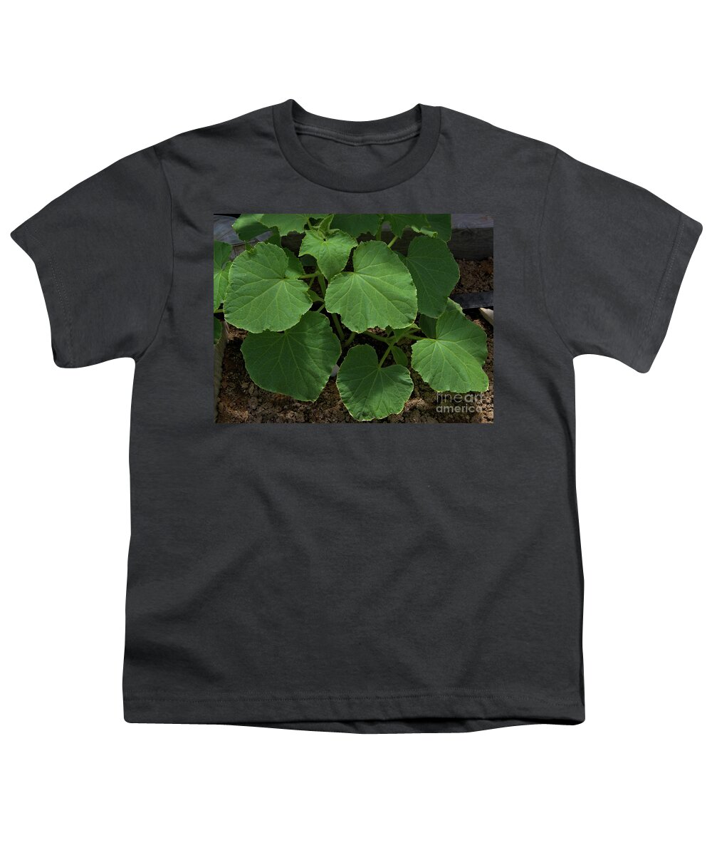 Leaf Youth T-Shirt featuring the photograph Leaf Pattern and Texture by Kae Cheatham