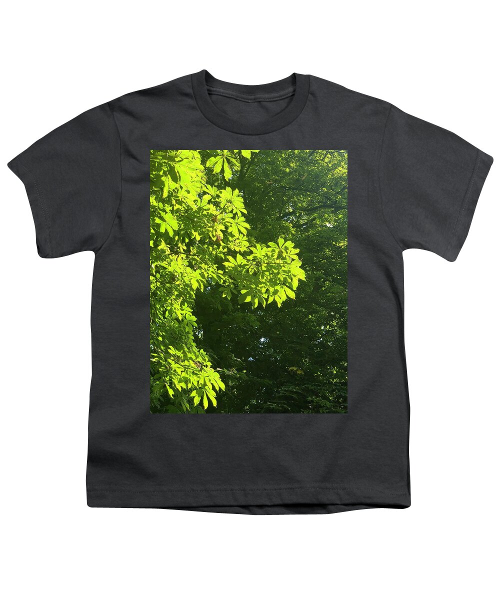 Leaf Youth T-Shirt featuring the photograph Leaf Patterns by Gordon James