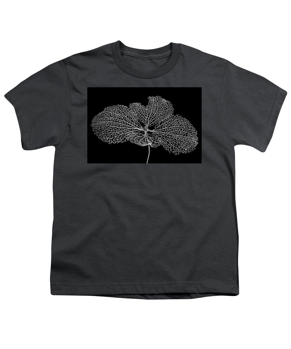 Leaf Youth T-Shirt featuring the photograph Leaf Skeleton 1 by Nigel R Bell