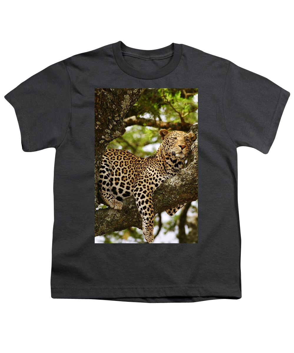 African Leopard Youth T-Shirt featuring the photograph Leopard in Tree, on Safari by Bonnie Colgan