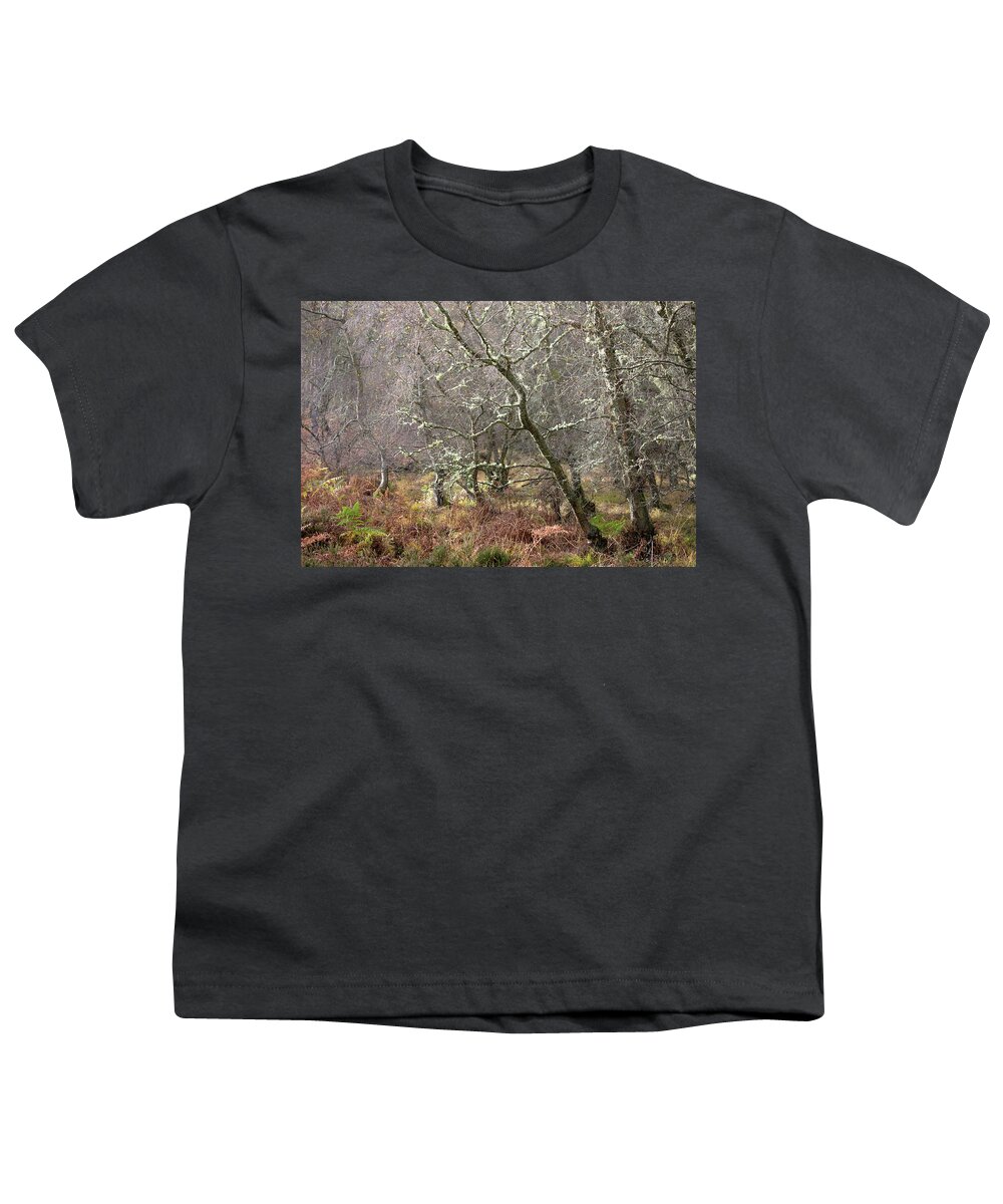 Lichen Youth T-Shirt featuring the photograph Lichen covered trees in Autumn by Anita Nicholson