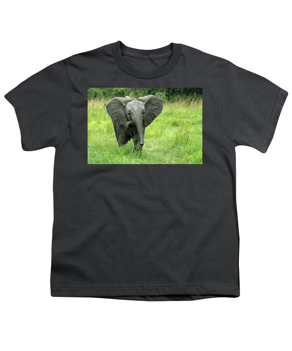 Elephant Youth T-Shirt featuring the photograph Little D by Steve Templeton