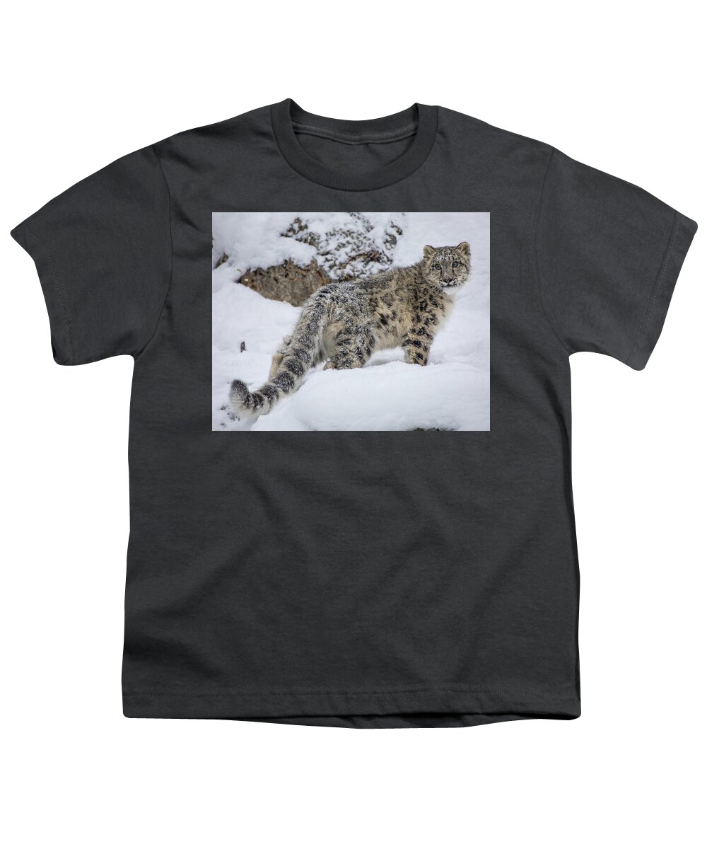 Animal Youth T-Shirt featuring the photograph Little Miss Blue Eyes by Teresa Wilson