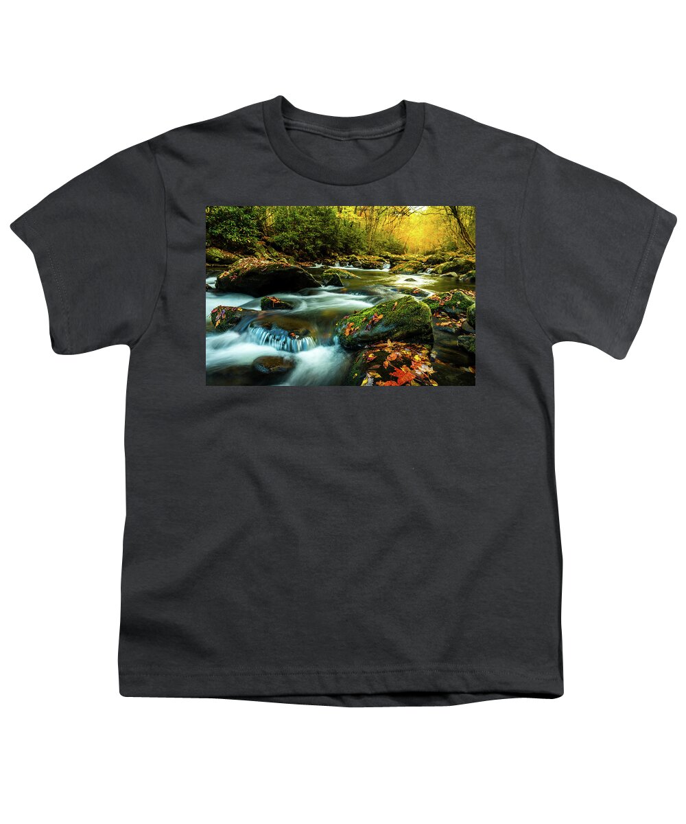 Fall Colors Youth T-Shirt featuring the photograph Little Mountain Stream by Darrell DeRosia